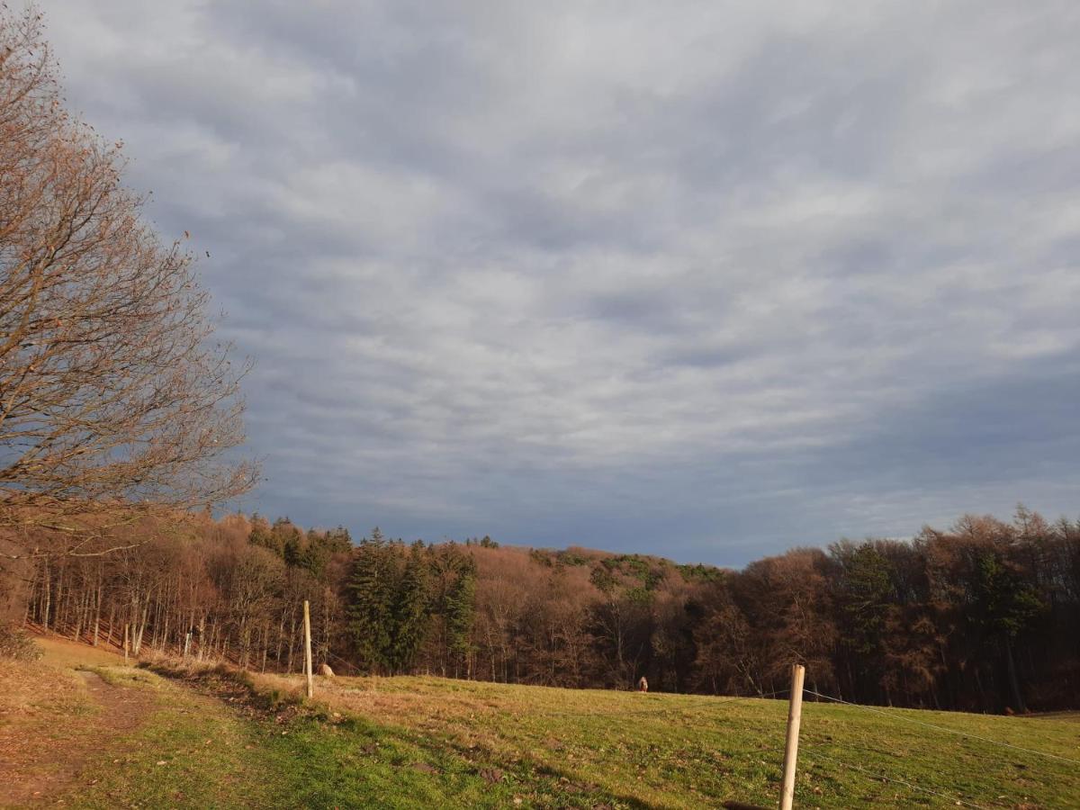Erholungsheim Im Wienerwald Irenental Exterior foto